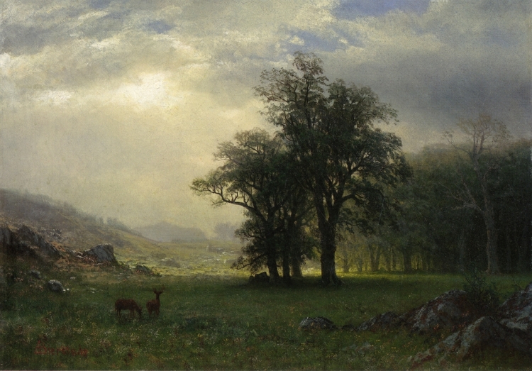 Albert Bierstadt Oil Painting The Open Glen